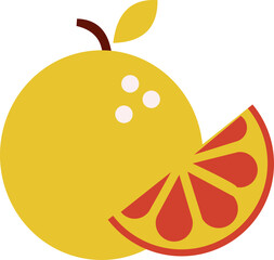 Chinese New Year Element Set