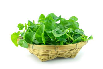 Fresh watercress or nasturtium or yellowcress in bamboo basket isolated on white background close up