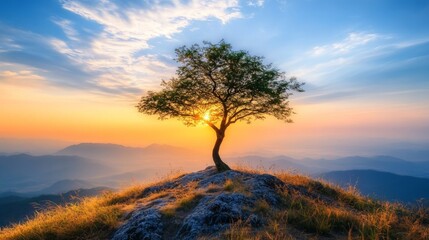 Obraz premium Lone Tree at Sunset on Hilltop, a solitary tree atop a hill during sunset, overlooking a vast valley, capturing the essence of tranquility and solitude in nature.
