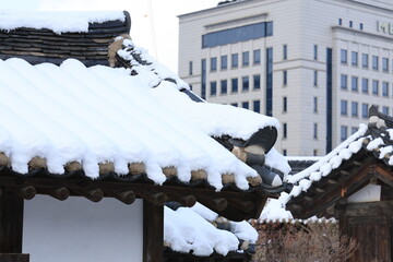 snow covered house