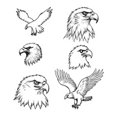 Set of hand-drawn line art illustrations of jungle animals & plants