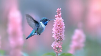 Hummingbird Feeding on Pink Flowers Spring Nature Scene Wildlife Photography