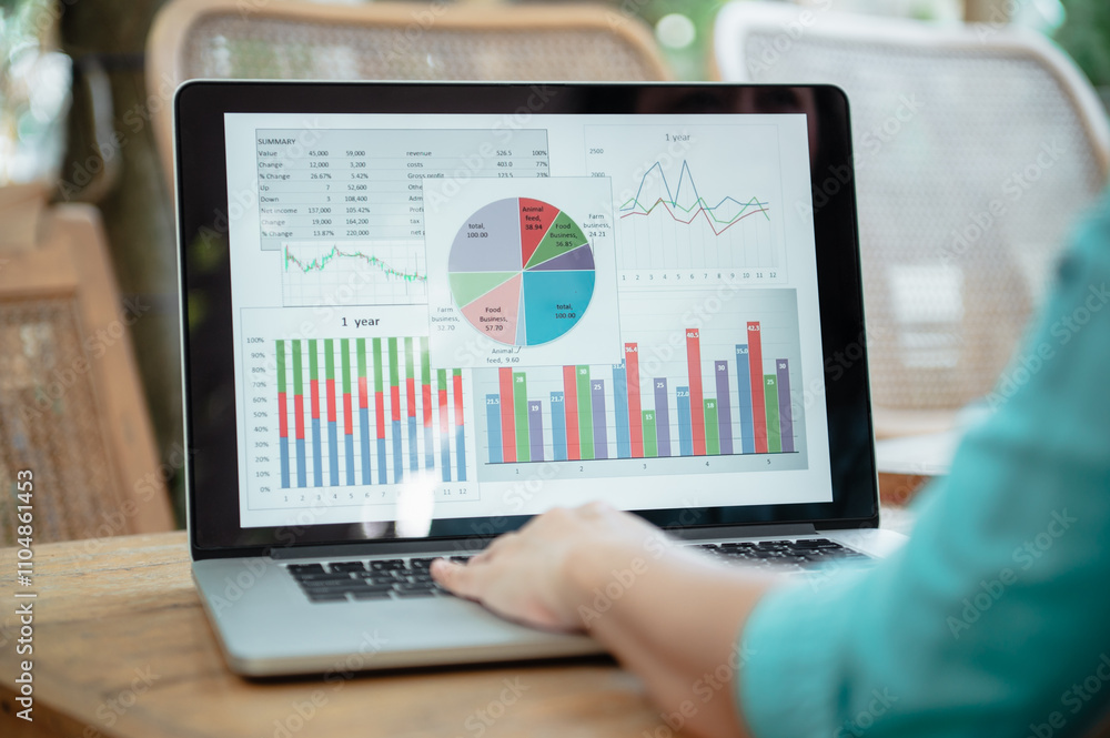 Wall mural accounting and financial software concept. business spreadsheet on computer screen for training and 