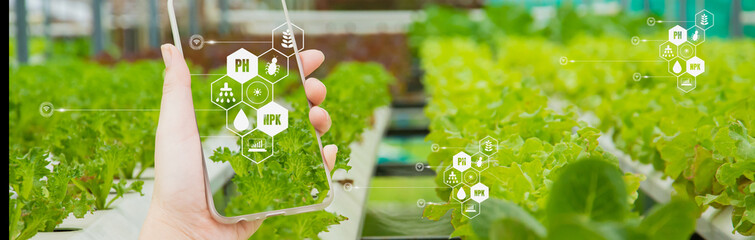 Farmers hand hold smartphone monitor and track agricultural produce through modern wireless networks with 5G technology in farms, concept Agriculture technology for development with internet of things