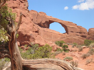 Natural beauty of red rocks along the Colorado River seen on a river rafting trip, Moab, Utah