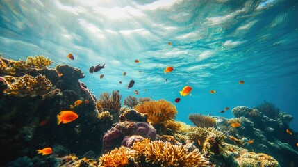 Vibrant underwater scene with coral reefs and colorful fish swimming in clear blue water.