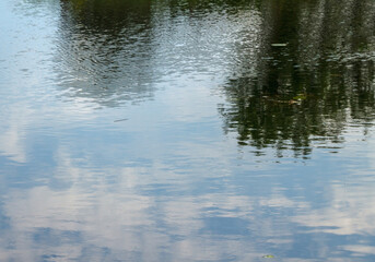 Reflection on the water surface.