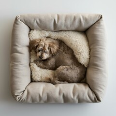A cozy dog curls up in a plush pet bed, surrounded by soft blankets, radiating comfort and warmth.