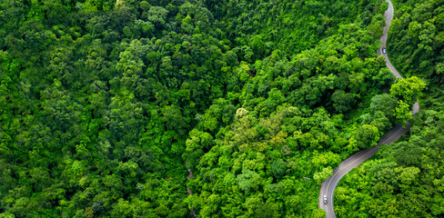 Road rainforest ecosystem and healthy environment concept , Road in the middle of the forest Concept of using electric cars to protect the environment and transportation
