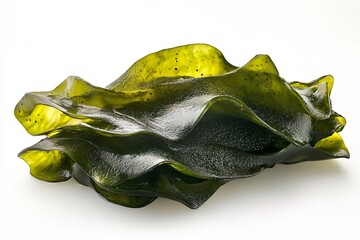 Fototapeta premium A vibrant, green seaweed with a wavy texture, showcasing its unique, organic form and glossy appearance, often found in coastal waters.