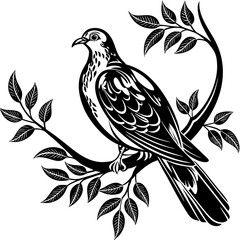 Naklejka premium Pigeon vector silhouette, isolated white background 