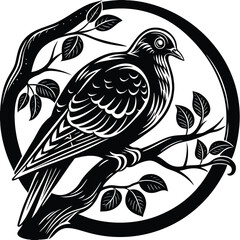 Obraz premium Pigeon vector silhouette, isolated white background 