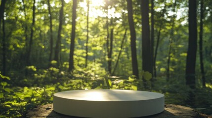 Product display on a round plaster podium in the heart of a sunny forest with bright green foliage in summer