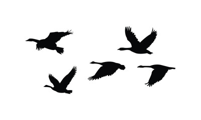 Obraz premium Flying Goose Bird Silhouette Design And Vector Illustration. 