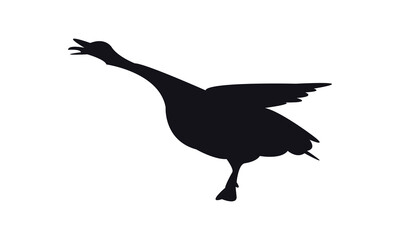 Goose Bird Silhouette Design  And Vector Illustration. 