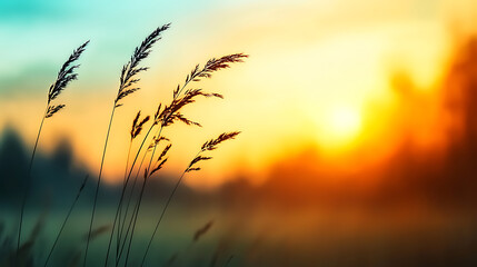 Naklejka premium Sunset serenity capture the beauty of grass silhouettes against a vibrant horizon in nature photography tranquil environment outdoor viewpoint scenic concept