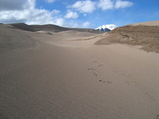 Great Sand Dunes and snow covered mountain, Colorado