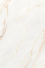 Elegant white marble with subtle pink veining, perfect for design