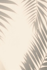 Obraz premium Soft shadows of palm leaves create serene, tranquil atmosphere