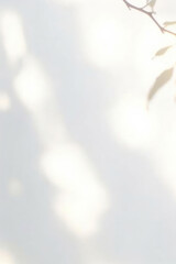 Soft shadows and light create serene atmosphere with leaves