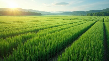 Obraz premium Golden hour over a lush intelligent farm demonstrating advanced IoT biodiversity strategies and conservation efforts