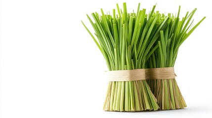 Neatly Tied Paddy Stalks on a Simple Background