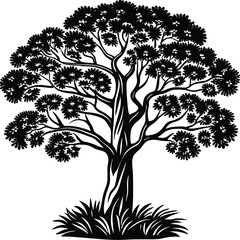 Obraz premium Tree vector silhouette, isolated white background