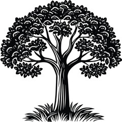 Obraz premium Tree vector silhouette, isolated white background