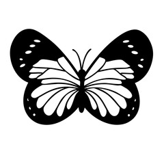 black and white butterfly