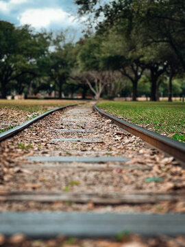 Railway in park