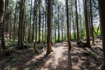 제주도 서귀포시 안덕면 광평리 왕이메오름