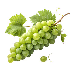 Obraz premium Grape fruits isolated on transparent background