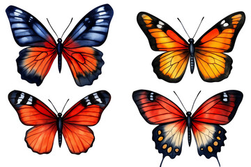 Obraz premium Colorful butterflies with intricate patterns, white isolated background.
