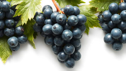 Fototapeta premium Blue Grapes on Isolated White Background.
