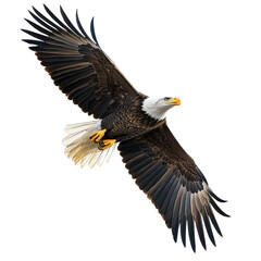 Naklejka premium A bald eagle gracefully soars above the Png clouds in a clear blue sky, showcasing its majestic wingspan, bald eagle flying over the clouds in the sky, transparent background.