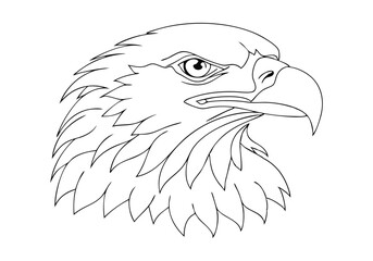 Continuous Line Art of Eagle's Head – Majestic Bird Illustration