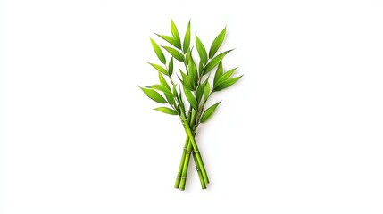 Obraz premium Smooth Bamboo Stalks with Fresh Green Leaves