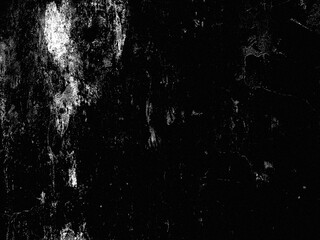 Grunge Black and White Texture Background