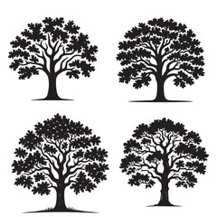 Oak tree silhouette  set - Oak tree vector - organic nature vector- tree silhouette - tree, nature botanical set - wood silhouette  set 