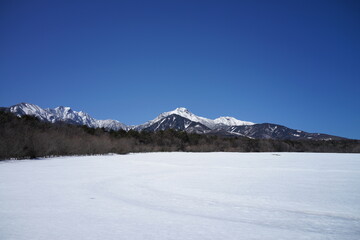 Fototapeta premium 雪原と雪景色と青空