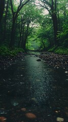 A peaceful mountain river winding through dense forest, with rocky trekking paths along the riverbanks. Clear water reflecting the greenery, perfect for showcasing natural adventure landscapes.