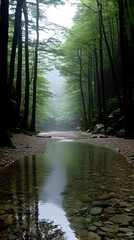 Obraz premium A peaceful mountain river winding through dense forest, with rocky trekking paths along the riverbanks. Clear water reflecting the greenery, perfect for showcasing natural adventure landscapes.