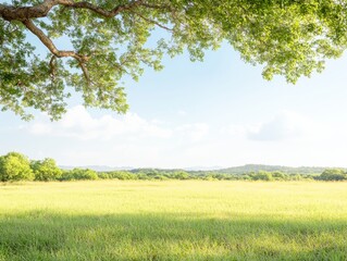 National Cashew Day Farmers Harvesting Under Bright Skies - Suitable for Earth Day and Arbor Day Celebrations