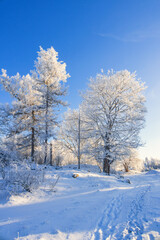 Fototapeta premium Footpath in a beautiful winter landscape a snowy winter day
