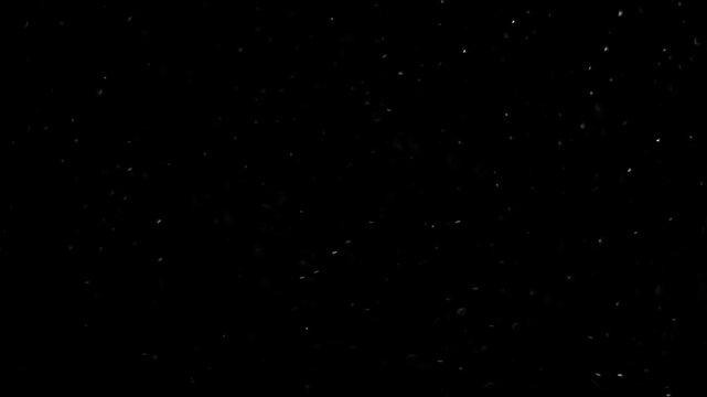 Abstract bokeh of dust particles floating in the air on black background. Slow motion. Abstract animated overlay effect of white particles flying. Loop animation. 4k footage
