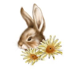 Cartoon rabbit vector illustration front character animal cute funny happy pet