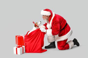 Santa Claus with cute Jack Russell Terrier dog in reindeer horns and bag on grey background