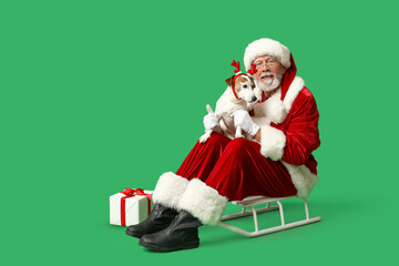 Santa Claus with cute Jack Russell Terrier dog in reindeer horns and Christmas gift box on sled against green background