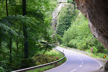 country road through the Mullerthal in Luxembourg with the cliffs