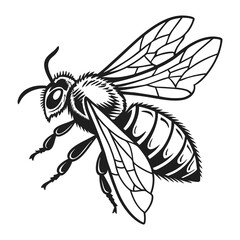 bee on white background